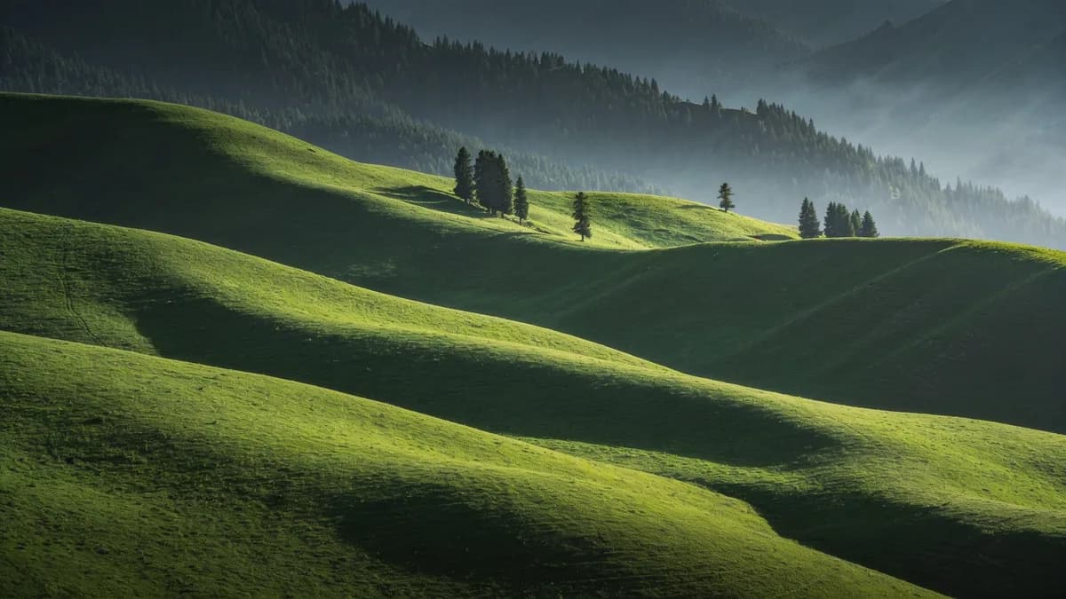 Soft green hills unfolding toward misty forested ridges