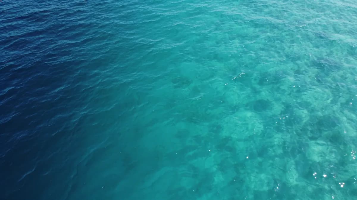Sunlight rippling through clear turquoise water